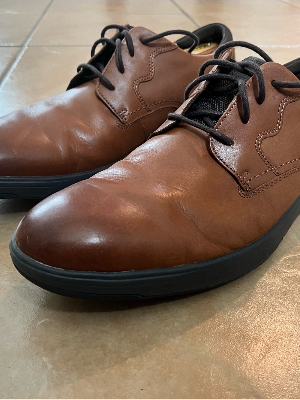 Rockport Noah Plain Toe